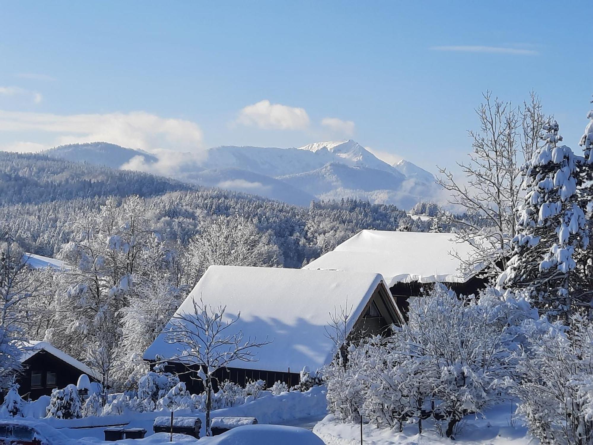 Haus Mit Bergblick Villa Siegsdorf Eksteriør billede