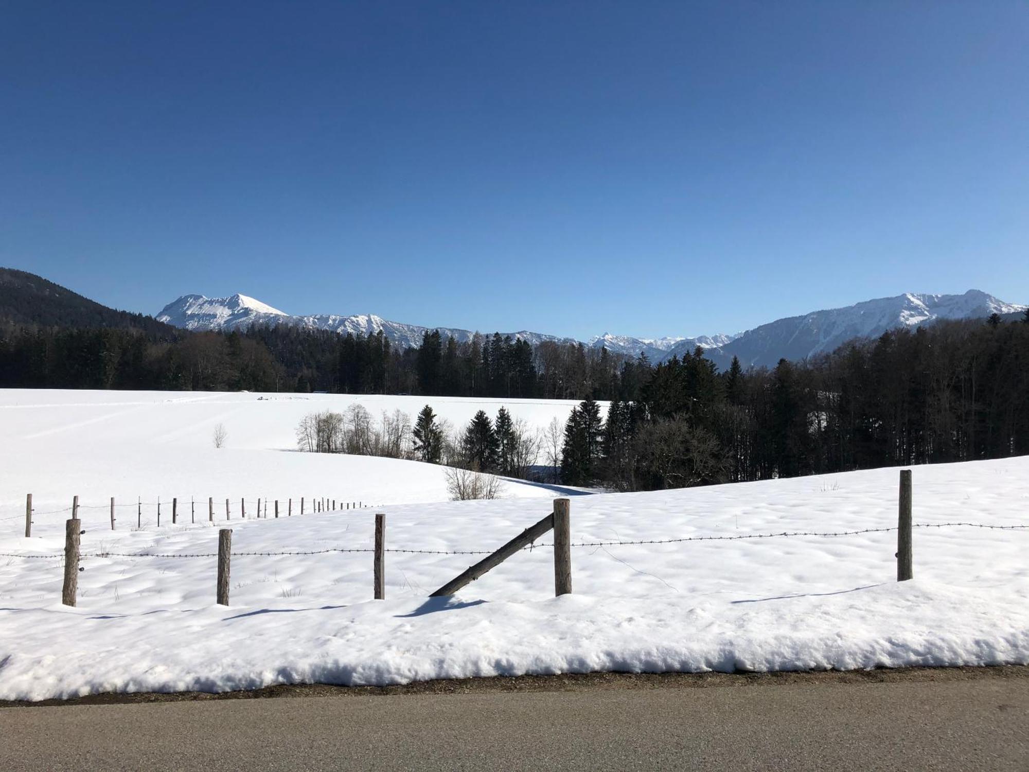 Haus Mit Bergblick Villa Siegsdorf Eksteriør billede